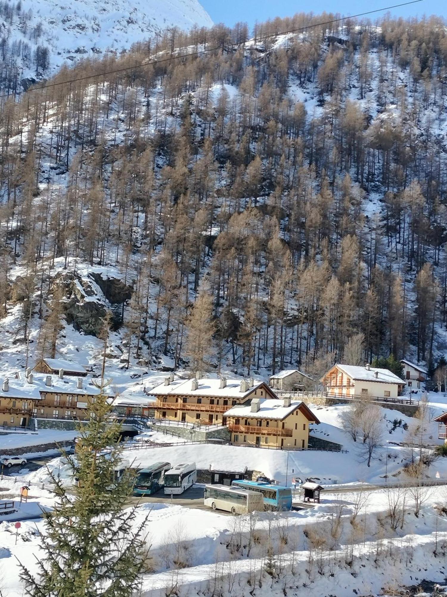 Punta Vittoria Sub 14 - Residence Anderbatt Gressoney - 3 Locali - Cir N 0010 Staval Extérieur photo
